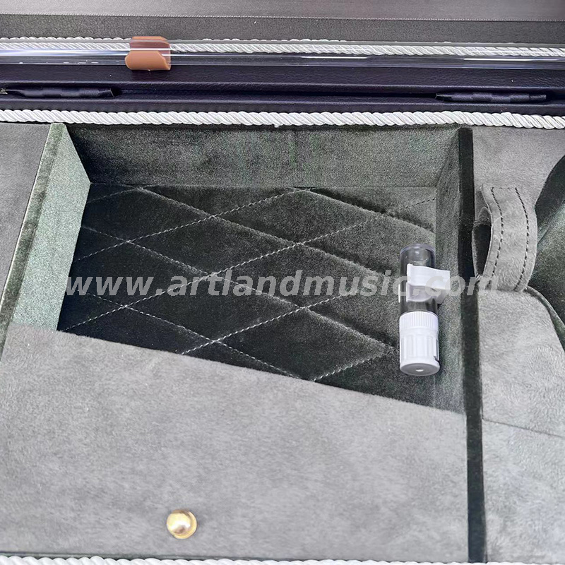 Custodia rigida per violino deluxe di alta qualità (DSV103)