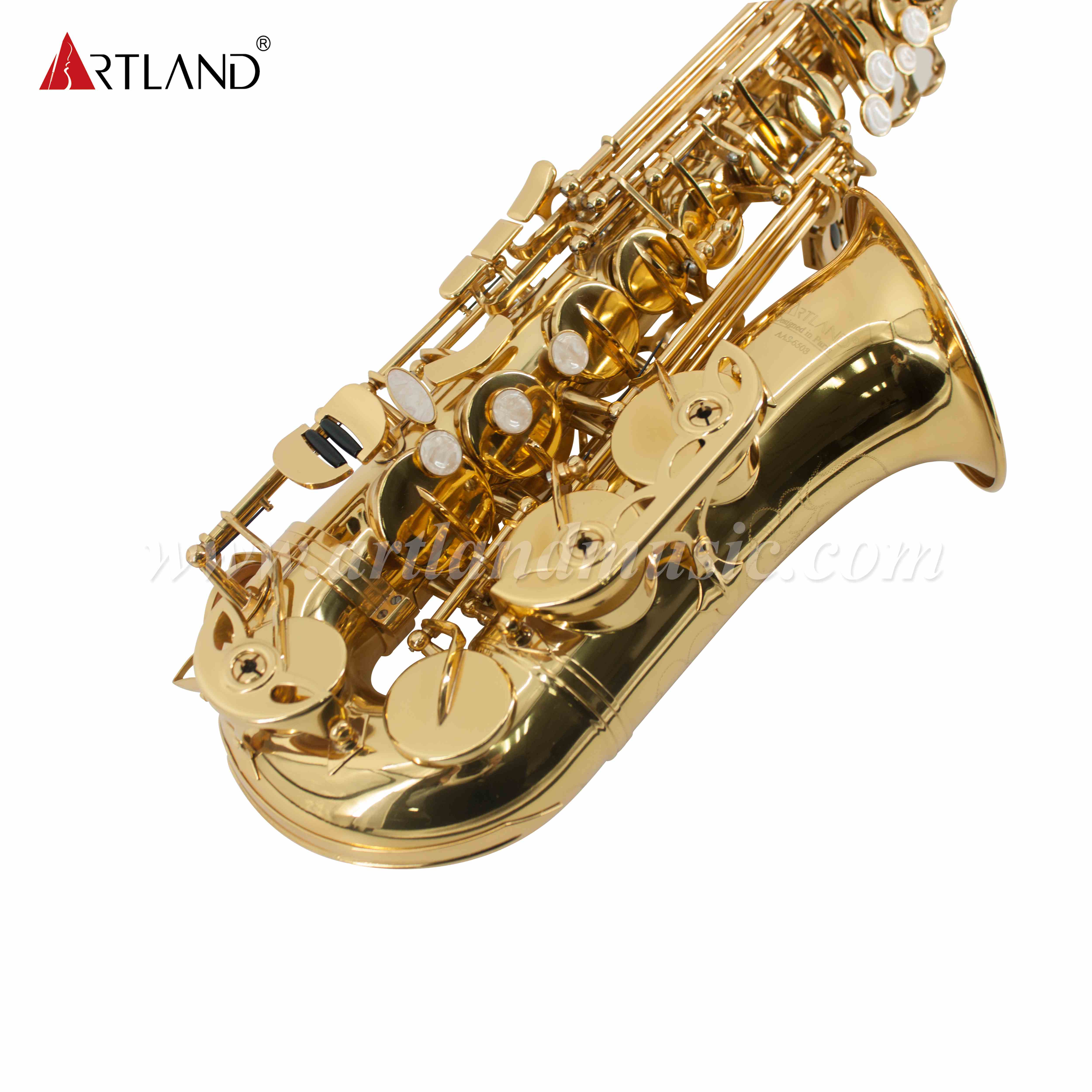 Sassofono contralto in mib laccato oro (AAS6503)