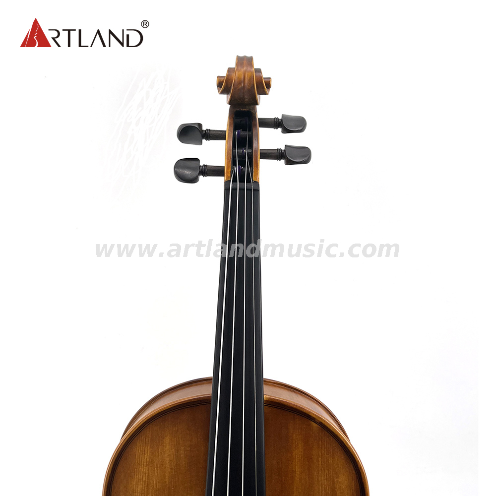 Violino moderato (MV110)