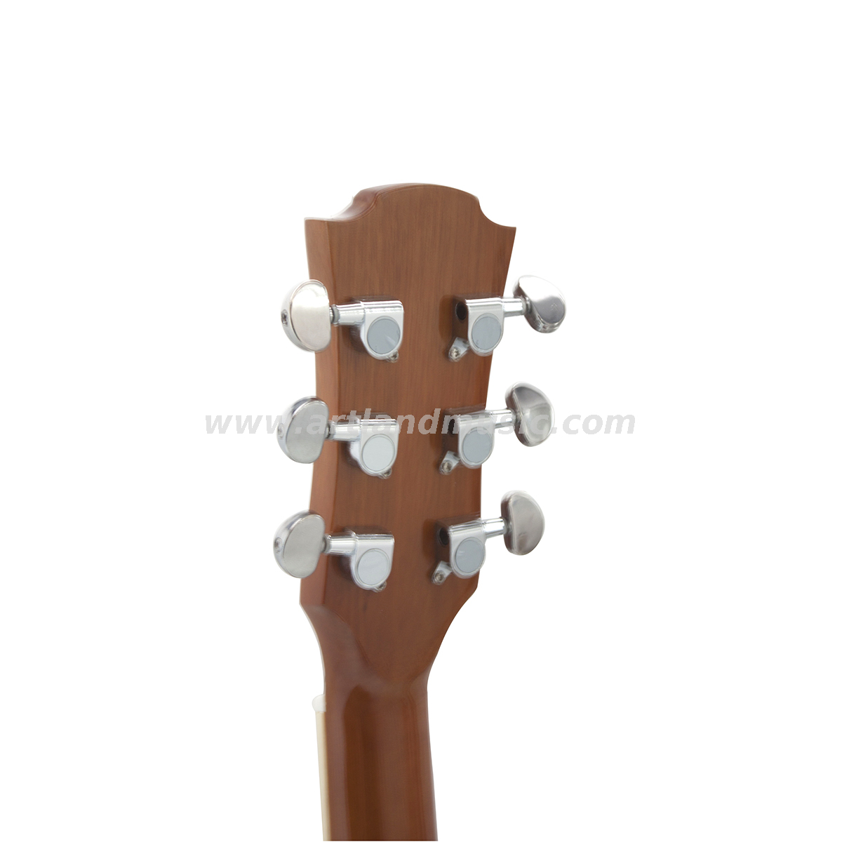 Chitarra acustica con retro in Sapele e top in abete massiccio da 41' (AG4213)