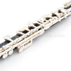 Piccolo professionale (AFL2100) placcato argento