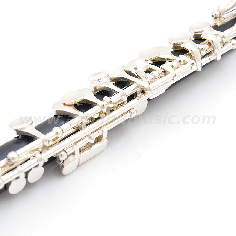 Piccolo professionale (AFL2100) placcato argento