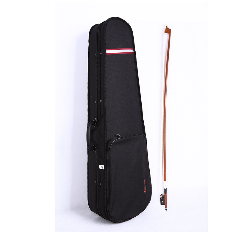 Violino in compensato con fiamma sul retro e sui lati (GV101F)