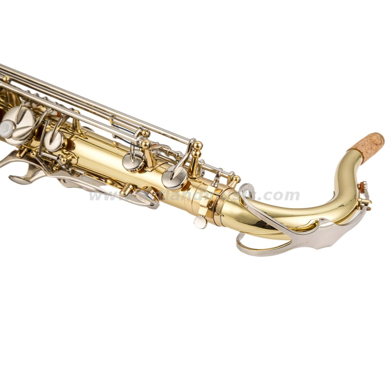 Chiave in nichel laccato oro per sassofono tenore (ATS5505GN) 