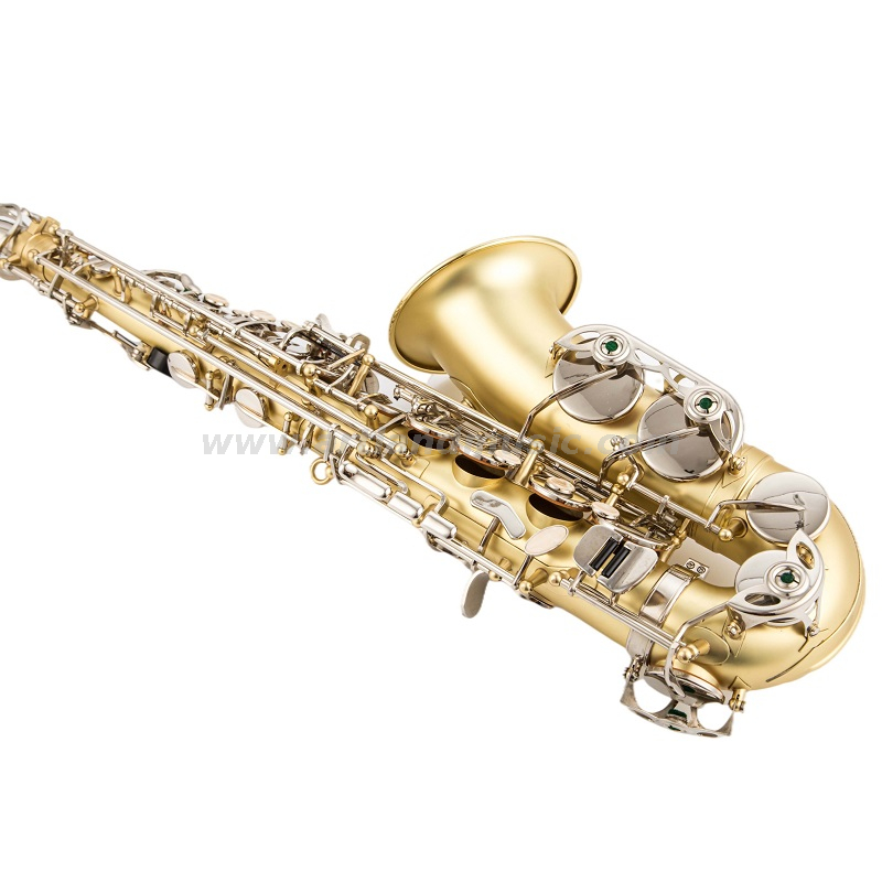 Corpo del sassofono contralto in mib laccato oro opaco inciso a mano con chiave in nichel (AAS5505GN)