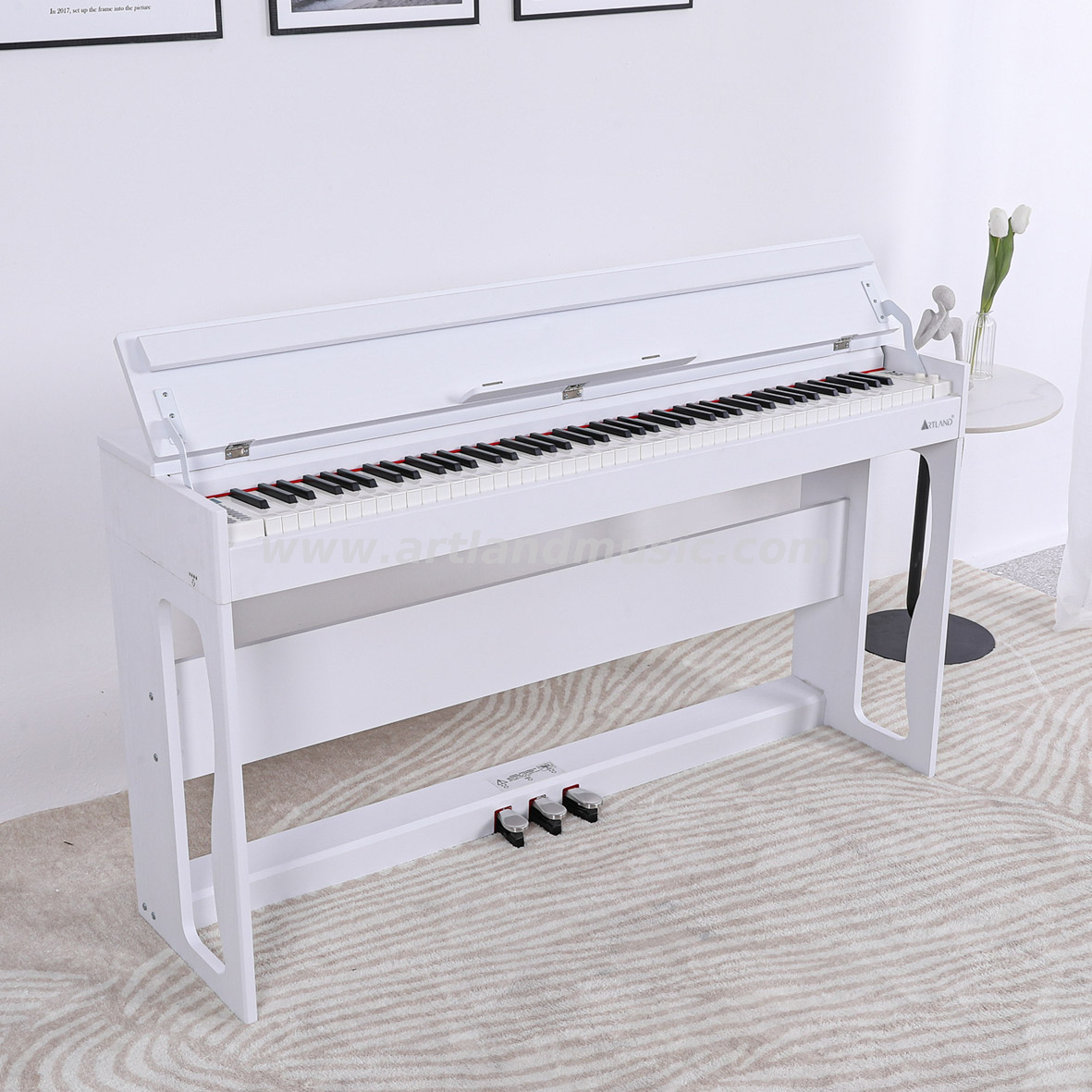 Pianoforte digitale a martello progressivo a 88 tasti (ATP802)