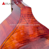Viola da gamba 6 corde (GAM550)
