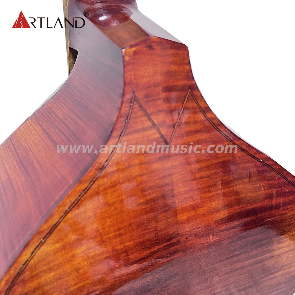 Viola da gamba 6 corde (GAM550)