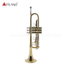 Strumento professionale in ottone Tromba in ottone giallo massiccio con custodia (ATR8336)