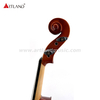 Violino generale con vernice a mano e lavorazione artigianale (GV110H)