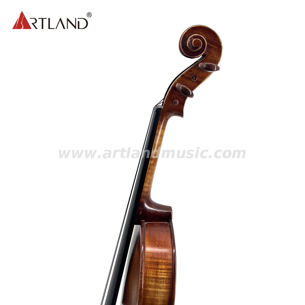 Violino moderato con finitura anticata, verniciata e rosweood (MV140Q)