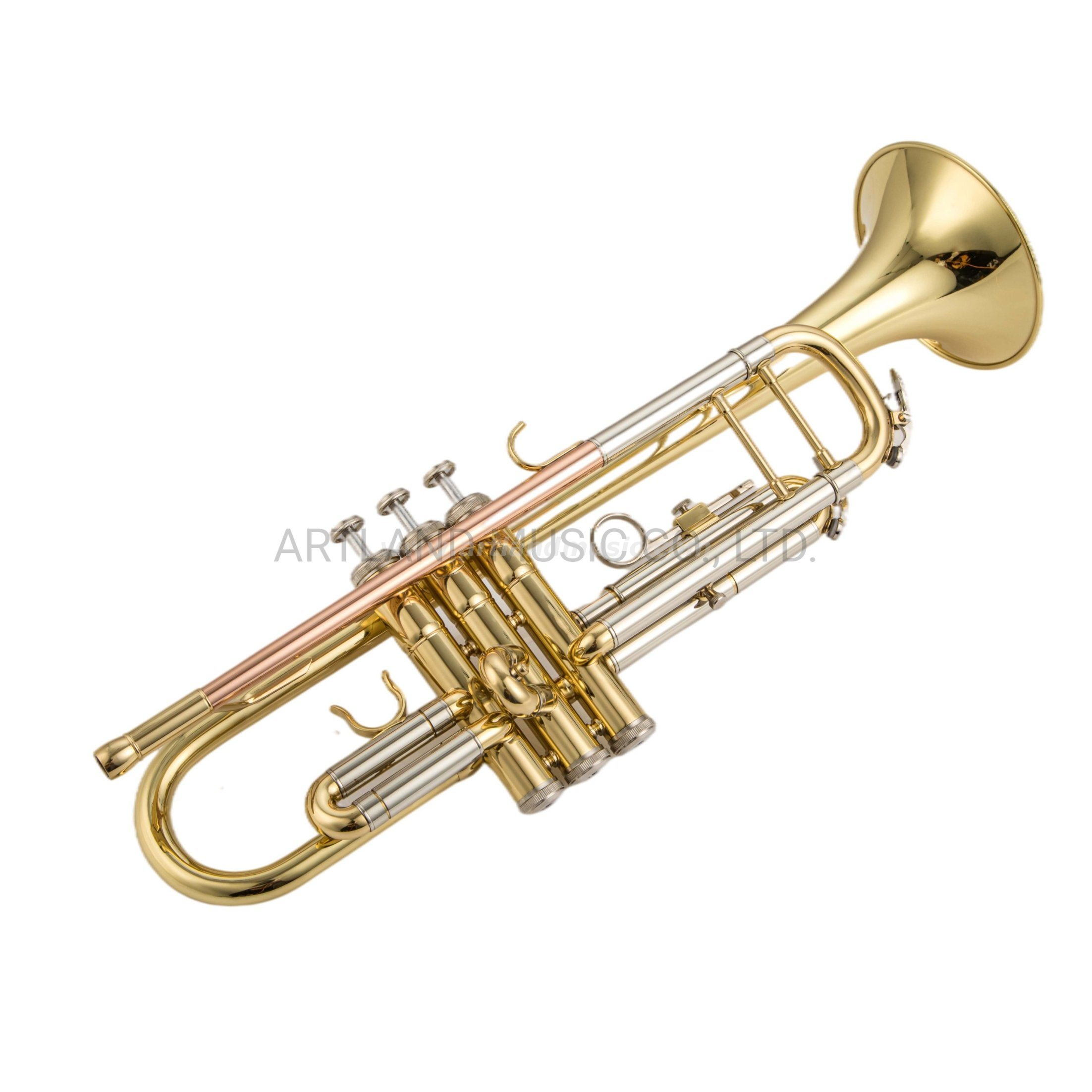 Tromba in Sib con tubo in rame fosforoso e custodia in super carbonio (ATR0275L)