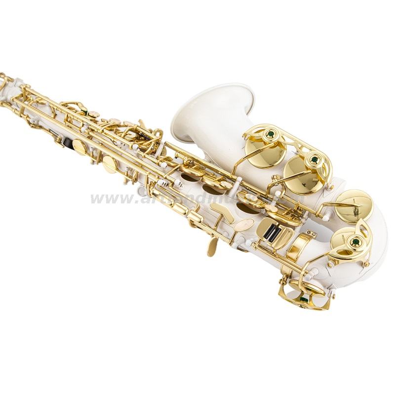 Chiave sassofono contralto in mib, corpo bianco laccato oro (AAS5505CW)