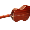 Chitarra classica con retro e lati in palissandro con top in abete massiccio (CG968)
