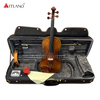 Guarneri Violino Violino solista Violino modello antico di alta qualità (PV60E)