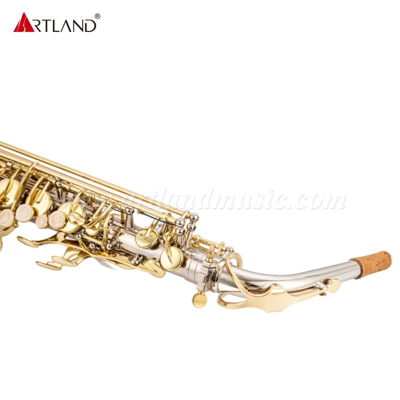 Sassofono contralto con finitura in nichel con chiave dorata (AAS5505NL)