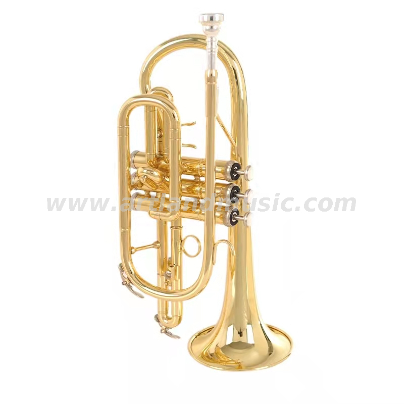 Cornetta laccata Glod ACR8356G