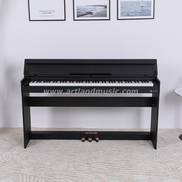 Pianoforte digitale a martello progressivo a 88 tasti (ATP802)