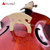 Viola da gamba 6 corde (GAM550)