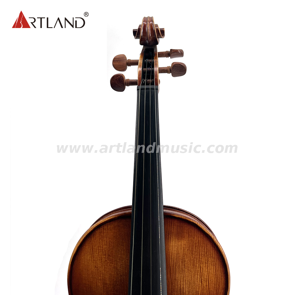 Violino moderato con finitura anticata, verniciata e rosweood (MV140Q)
