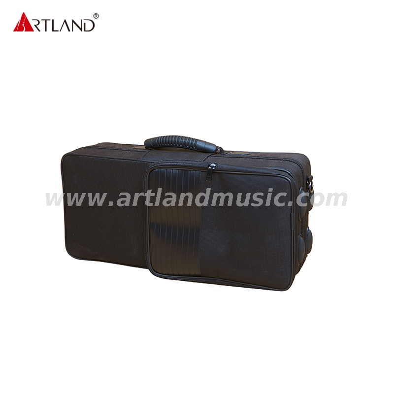 Sassofono soprano curvo laccato oro inciso a mano con chiave in nichel ASS3506D