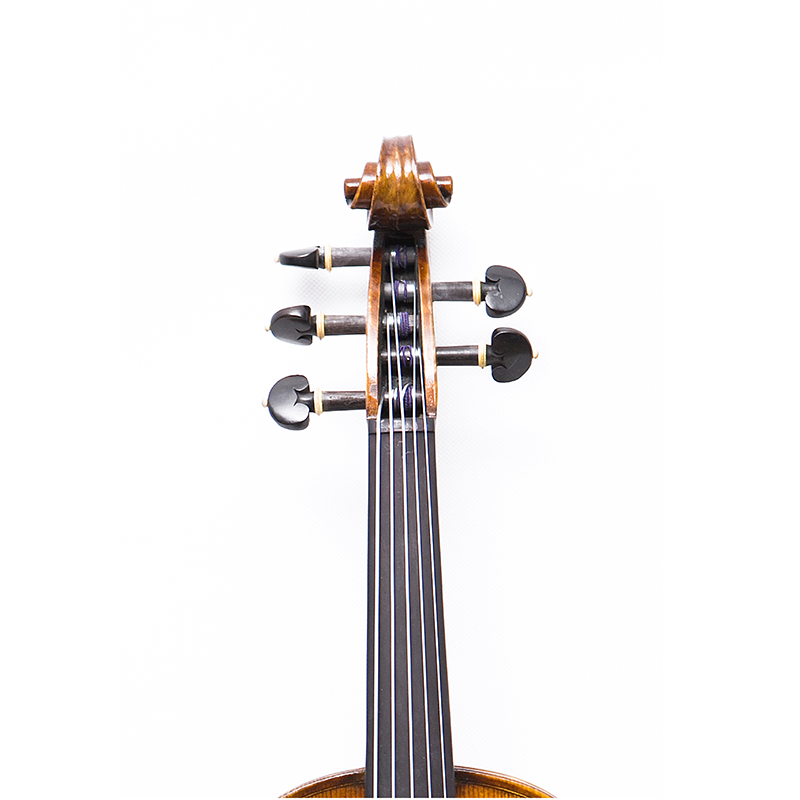 Violino 5 corde con fondo in acero in un unico pezzo (AVA1005S)