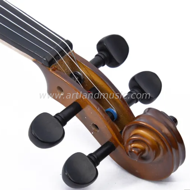 Completo per violino fiammato (GV101N)