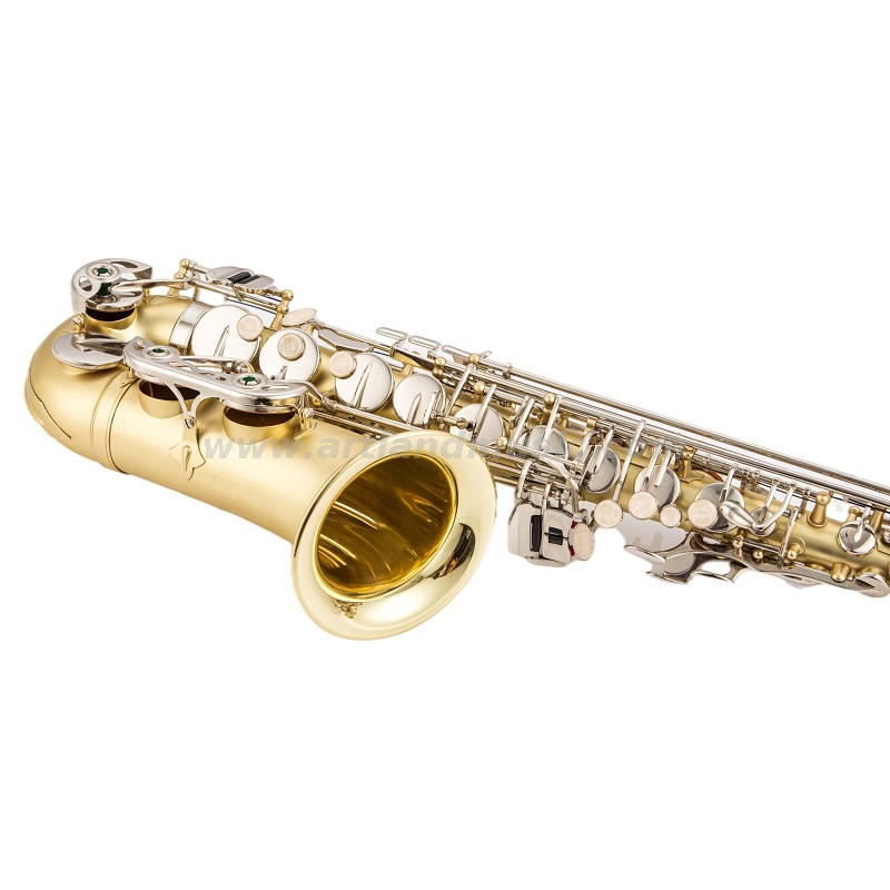Corpo del sassofono contralto in mib laccato oro opaco inciso a mano con chiave in nichel (AAS5505GN)