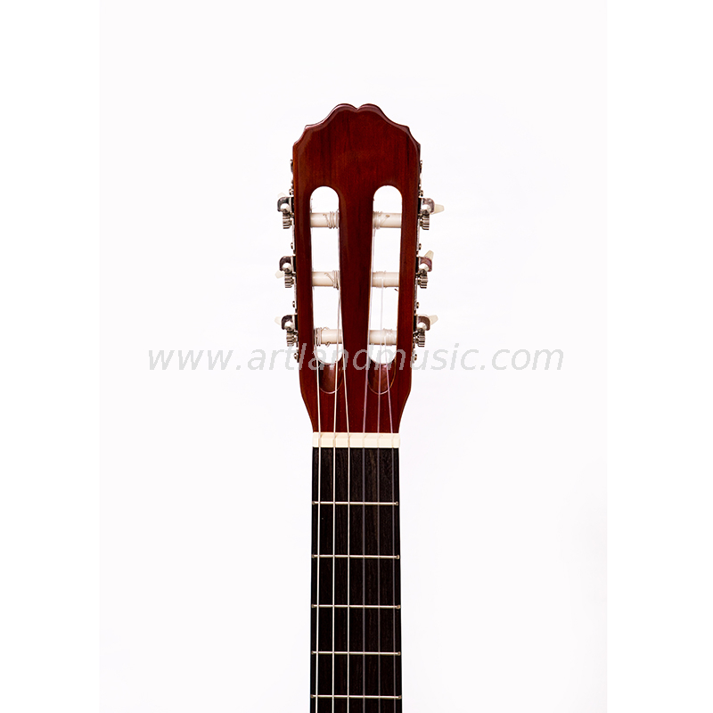 Chitarra classica con fondo e fasce in tiglio con top in abete (CG966)