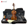 Guarneri Violino Violino solista Violino modello antico di alta qualità (PV60E)