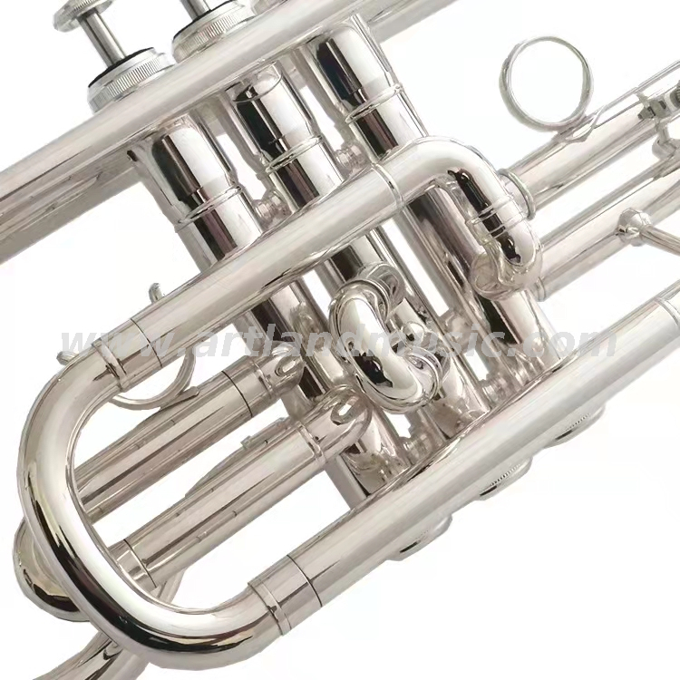 Cornetta laccata Glod ACR8356G
