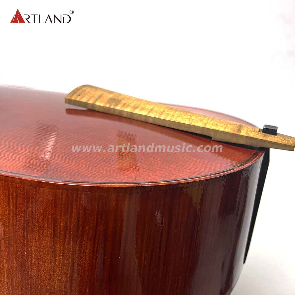 Viola da gamba 6 corde (GAM550)