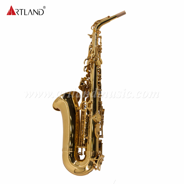 Sassofono contralto in mib laccato oro (AAS6503)