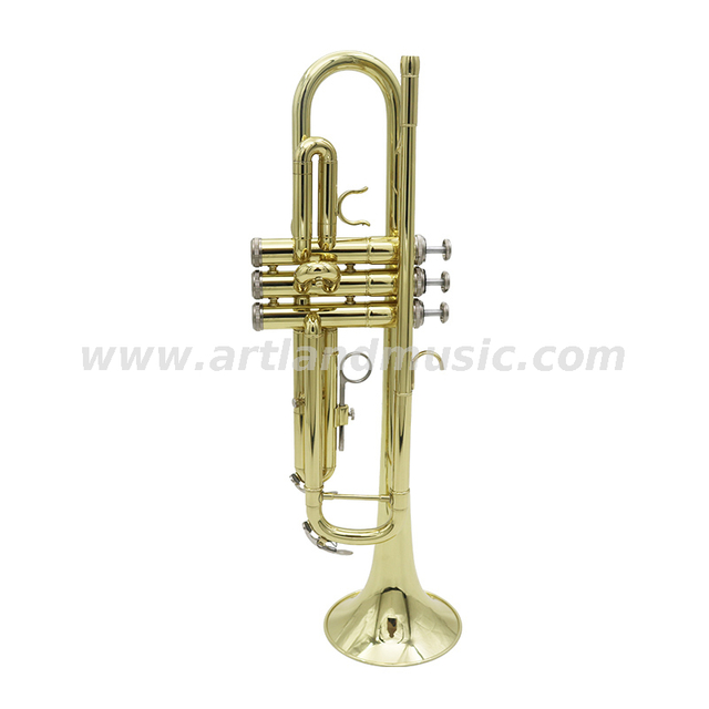 Tromba laccata dorata per principianti (ATR3505G)