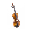 Violino 5 corde con fondo in acero in un unico pezzo (AVA1005S)
