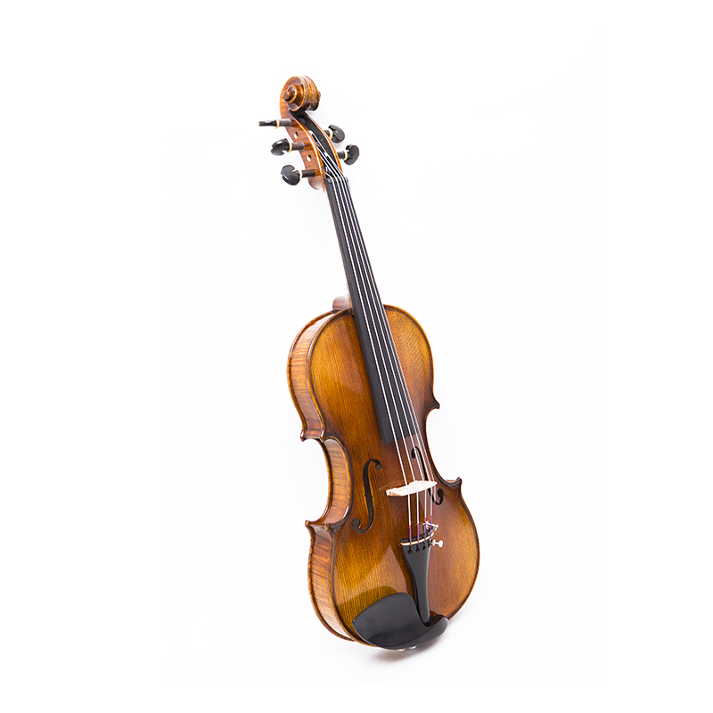 Violino 5 corde con fondo in acero in un unico pezzo (AVA1005S)