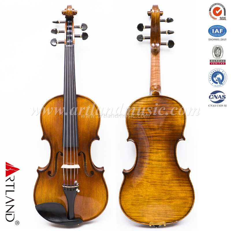 Violino 5 corde con fondo in acero in un unico pezzo (AVA1005S)
