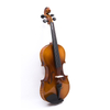 Violino in compensato con fiamma sul retro e sui lati (GV101F)