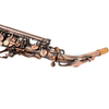 Sassofono mib contralto finitura anticata bronzo rosso, custodia per sassofono in carbonio leggero (AAS5507AG)