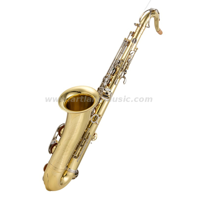 Chiave in nichel laccato oro per sassofono tenore (ATS5505GN) 