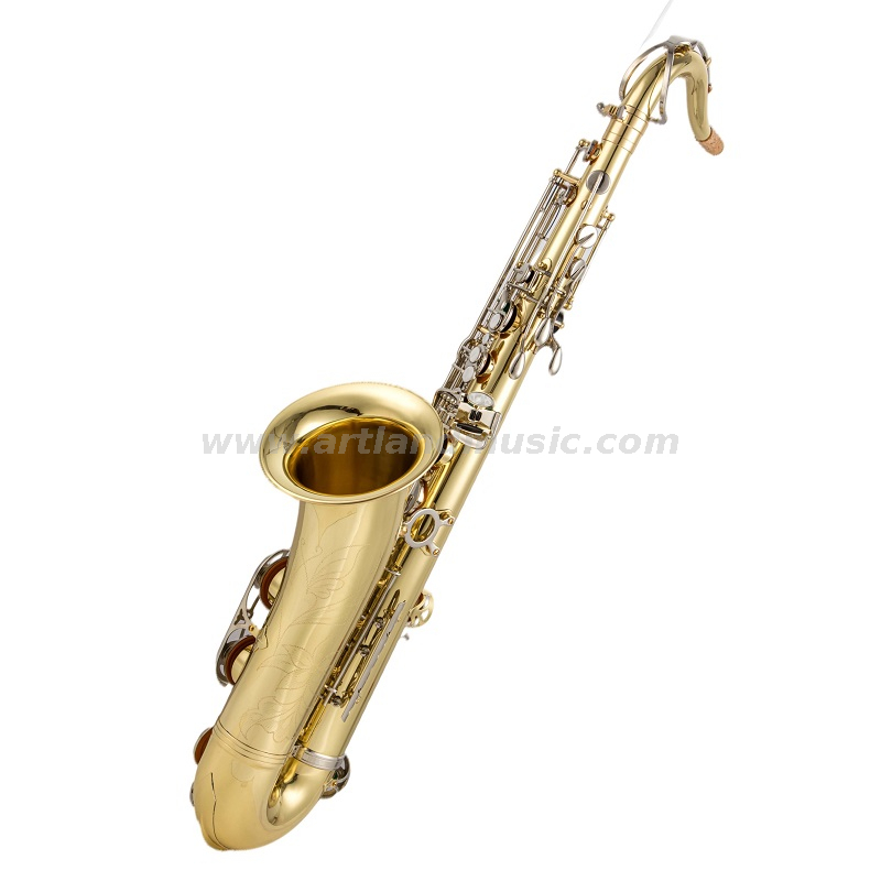 Chiave in nichel laccato oro per sassofono tenore (ATS5505GN) 