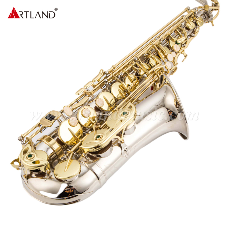 Sassofono contralto con finitura in nichel con chiave dorata (AAS5505NL)