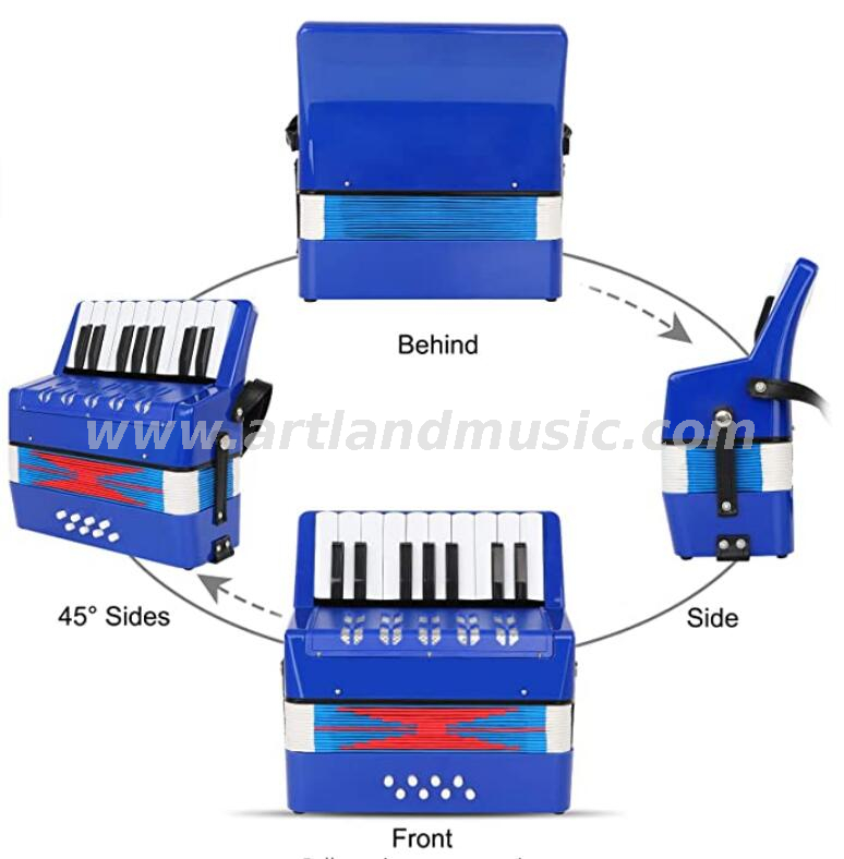 17 tasti 8 bassi mini piccolo giocattolo fisarmonica a pianoforte strumento musicale educativo per bambini, regalo con scatola colorata