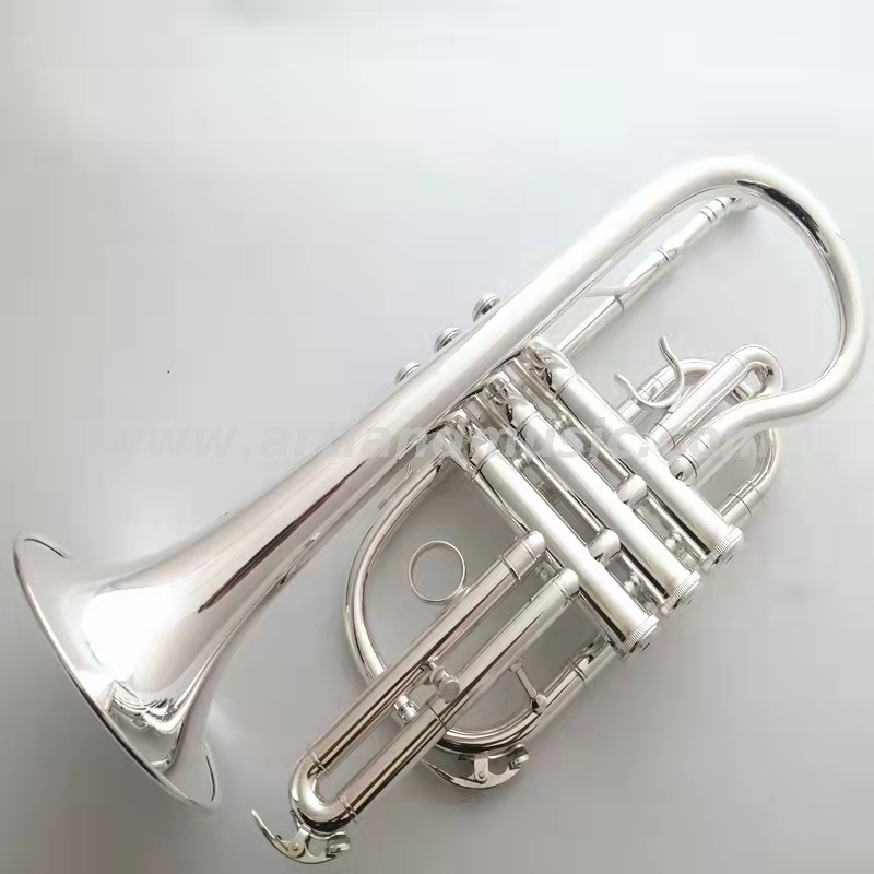 Cornetta laccata Glod ACR8356G
