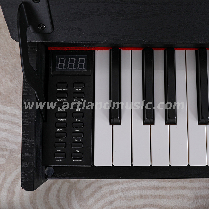 Pianoforte digitale a martello progressivo a 88 tasti (ATP802)