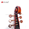 Viola da gamba 6 corde (GAM550)