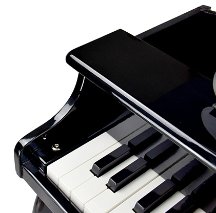 Strumento per pianoforte per bambini/giocattolo Rosa Bianco Nero