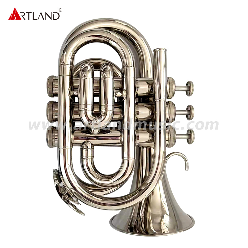 Trombe tascabili laccate dorate, modello da ingresso, chiave in Sib （AHD3505N）