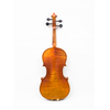 Bel violino antico con bella fiamma (AVA300)