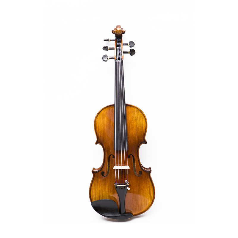 Violino 5 corde con fondo in acero in un unico pezzo (AVA1005S)